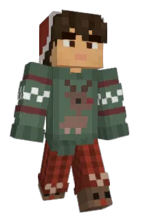 Front of OTGW's skin