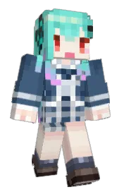 Skin preview