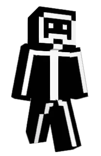 Front of rTweetX's skin
