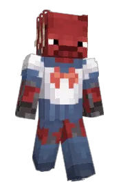 Skin preview