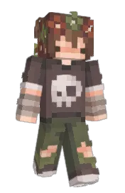 Skin preview