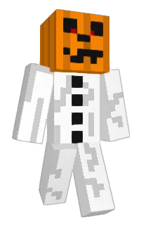 Front of Hakerek320's skin