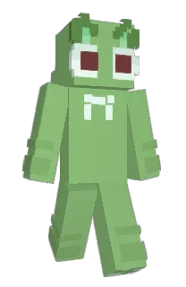Front of Puippy's skin