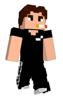 Front of BelVaso's skin