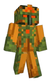 Skin preview