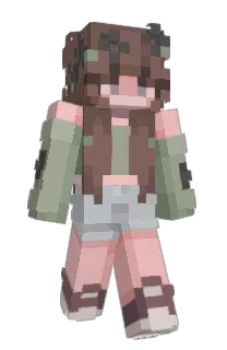Front of B1ndi's skin