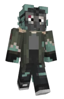 Front of HJP5's skin