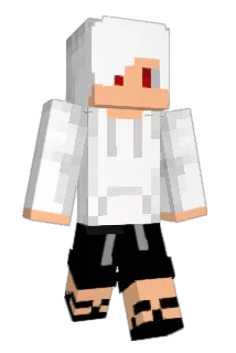 e3Sal Minecraft avatar full body