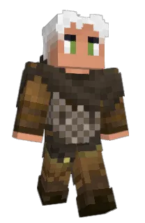 Front of brwnin's skin