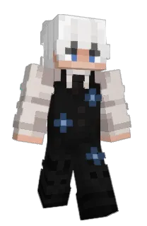 Front of fstr's skin