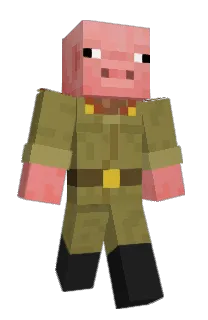Front of Minecraft skin