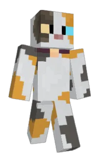 Front of MMacchiato's skin