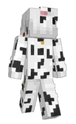 concrete and white Minecraft skin — Slim model