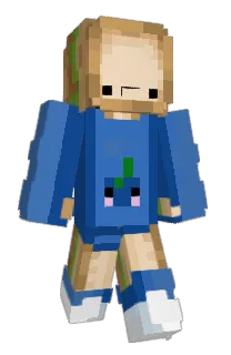 Front of swoobway's skin