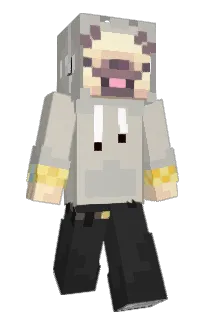Front of obicajnyzahradka's skin