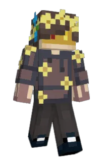 Front of cassettii's skin