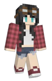Skin preview