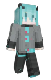Skin preview
