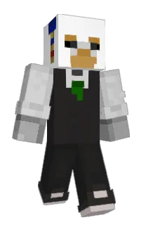 Front of BroHinne's skin