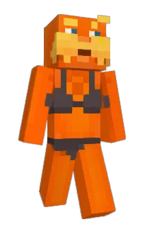 Front of term1's skin