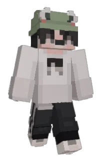 Front of Minecraft skin