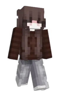 Front of MexBi's skin