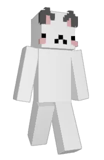 21BRlAN's Minecraft skin