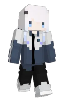 Front of vnll's skin