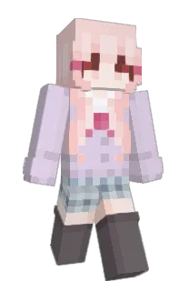 Front of akzlme's skin
