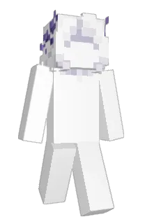 Front of voidsh's skin