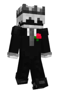 Front of NIVAD2's skin