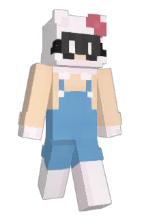 Front of HisSage's skin