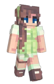 Skin preview