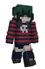 Skin preview