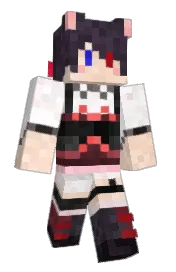 Skin preview