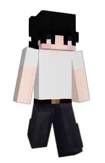 Front of prizeus's skin