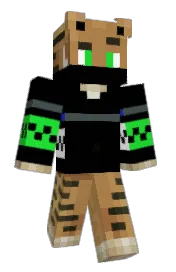 Skin preview
