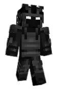 YH_player