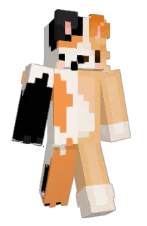 Front of KVRP's skin