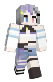 Skin preview