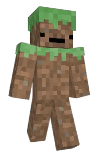 Front of Minecraft skin