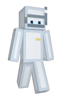Front of Minecraft skin
