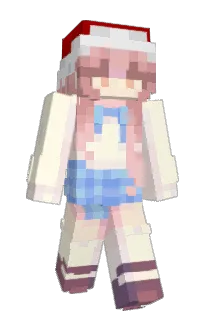 Front of pkyww's skin
