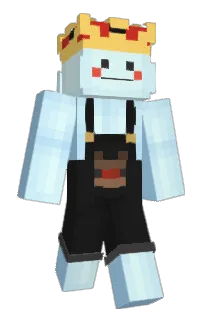 Front of HongJamEon's skin