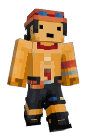 Skin preview