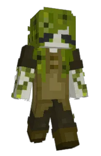 Front of Ashicho's skin