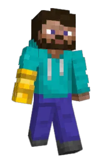 Front of BLANKX9's skin