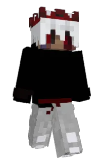 Front of DARwin433's skin
