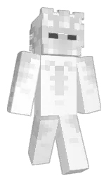 Minecraft skin — Classic model