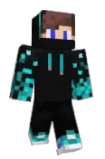 C0LE2010